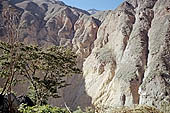 Colca Canyon